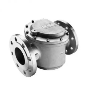 DUNGS Gas and Air Filter (with Flange)